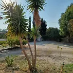 Nerissa 3, Two Bedroom House Spartià